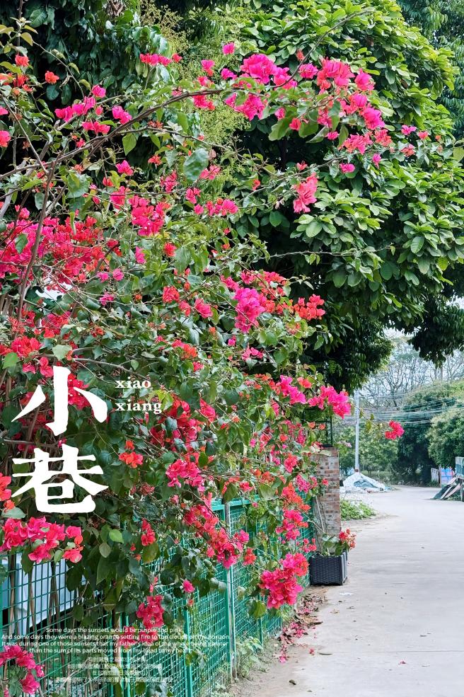 松湖春韵，巾帼绽风华 —— 三八活力团建行