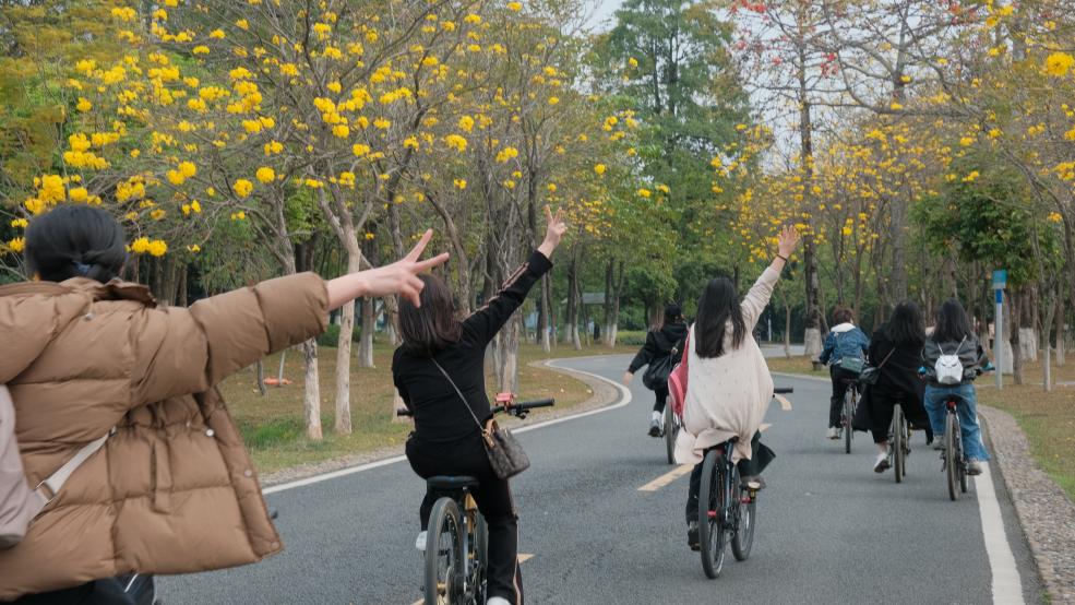 松湖春韵，巾帼绽风华 —— 三八活力团建行