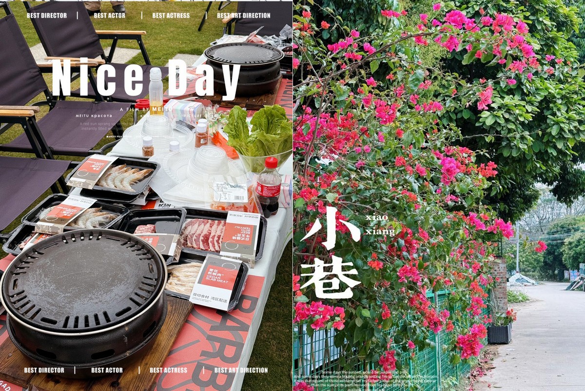 松湖春韵，巾帼绽风华 —— 三八活力团建行